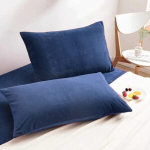 Blue Velvet Fabric Plan Pillow Cover 2 PCs