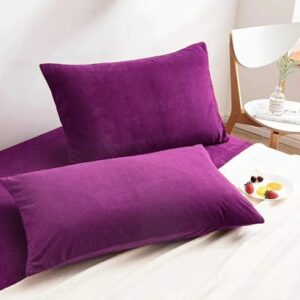 Velvet Fabric Pillow Cover 2 PCs