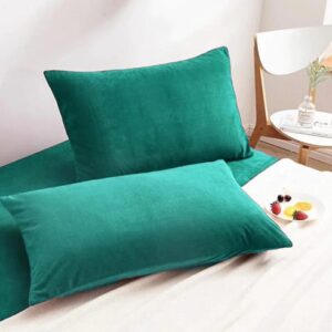 Light Green Velvet Fabric Plan Pillow Cover 2 PCs
