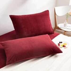 Plan Pillow Cover