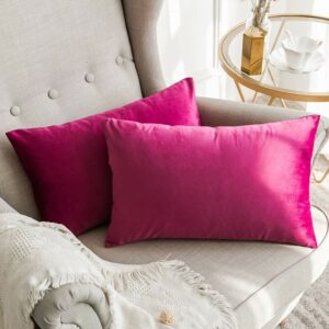 Pink Velvet Fabric Plan Pillow Cover 2 PCs